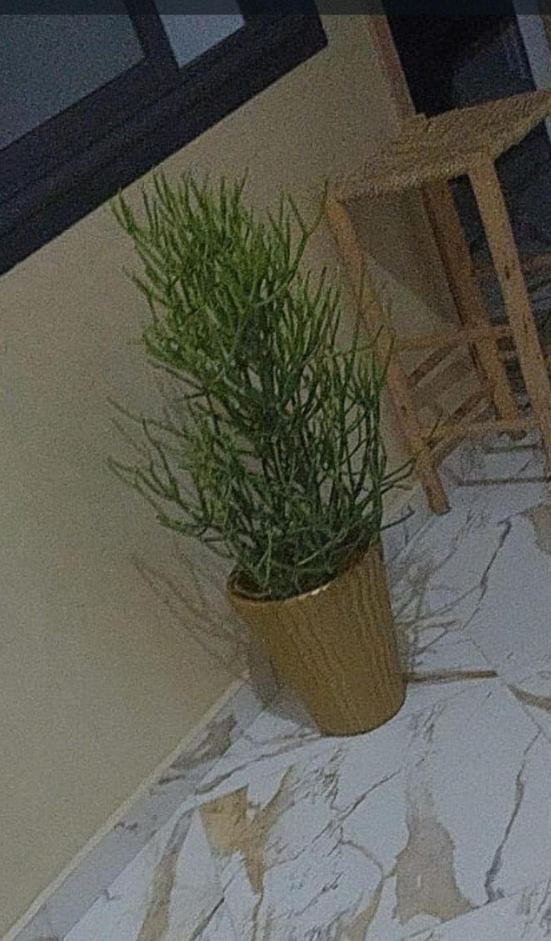 Mogador Appartements T6 الصويرة المظهر الخارجي الصورة